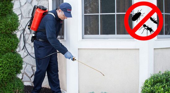 Emet Fare İlaçlama böcek ilaçlama ve haşere kontrolü — ilaclama-tr.com